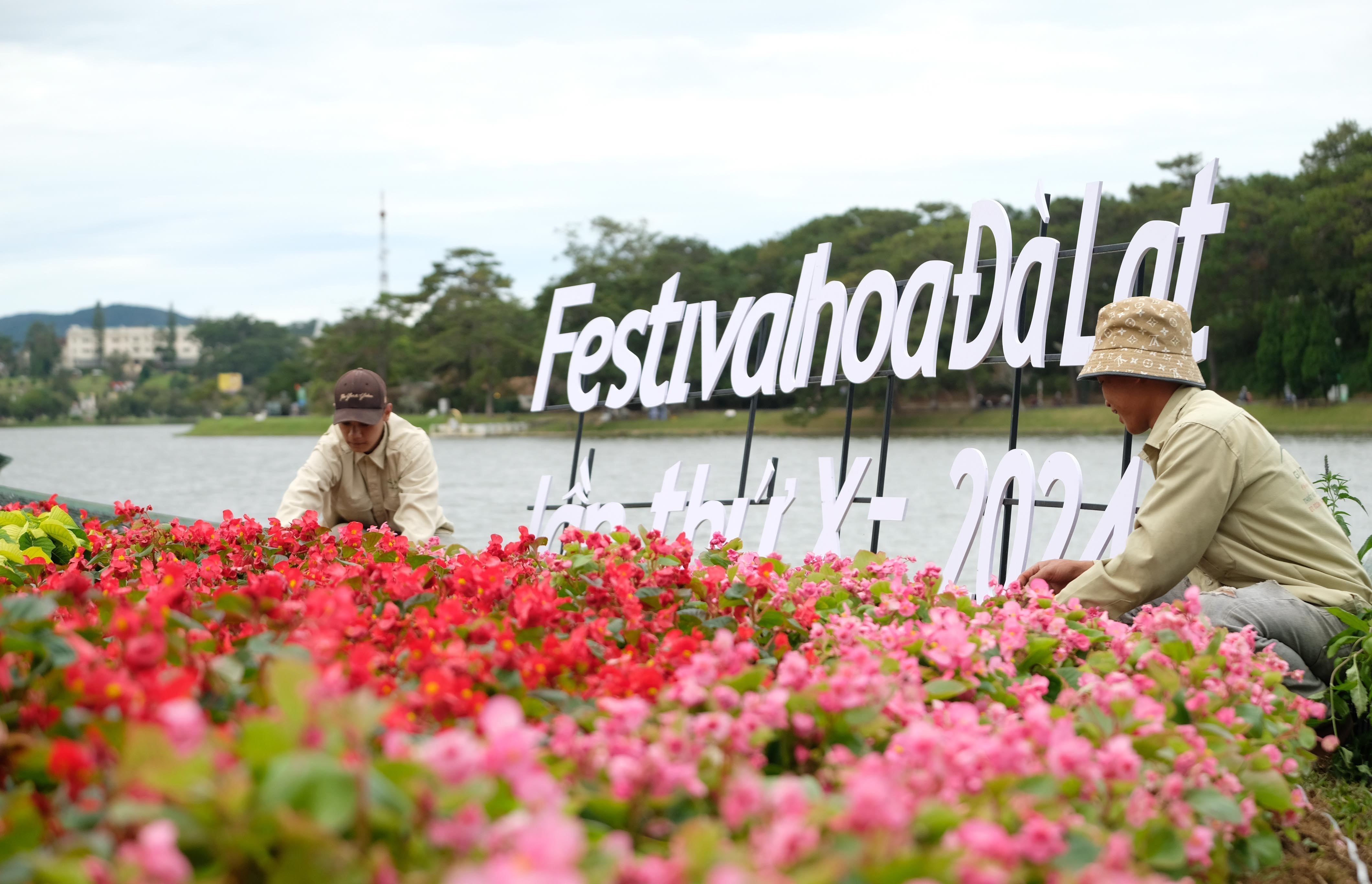 Không gian hoa bên Hồ Xuân Hương chuẩn bị cho Festival hoa Đà Lạt lần thứ X.