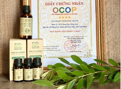 Sản phẩm tinh dầu tràm của HTX dược liệu Đông Sơn được nhận giải thưởng Mai An Tiêm. Ảnh tư liệu.