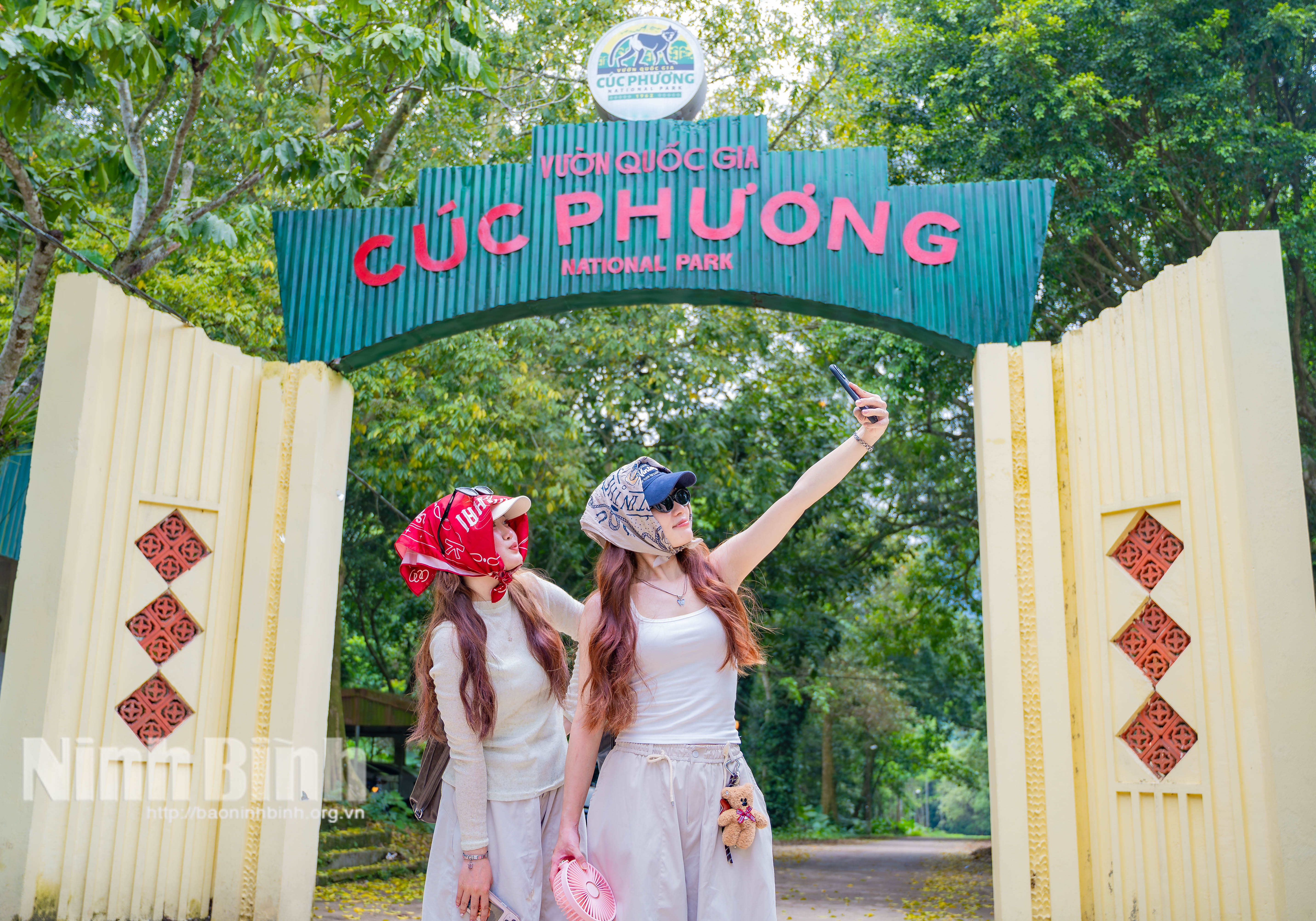 Cuối tháng 4 đến giữa tháng 5 là thời điểm lý tưởng để “chill” cùng mùa bướm ở Cúc Phương, đặc biệt sau những ngày mưa nhẹ.