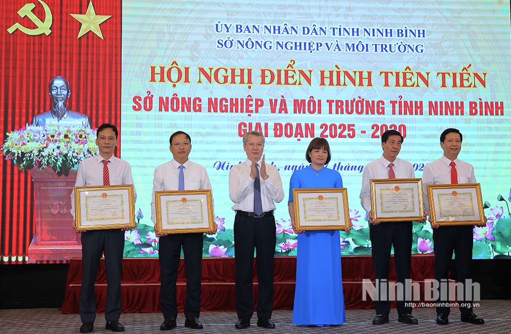 Lãnh đạo Sở Nông nghiệp và Môi trường khen thưởng các tập thể có thành tích xuất sắc.