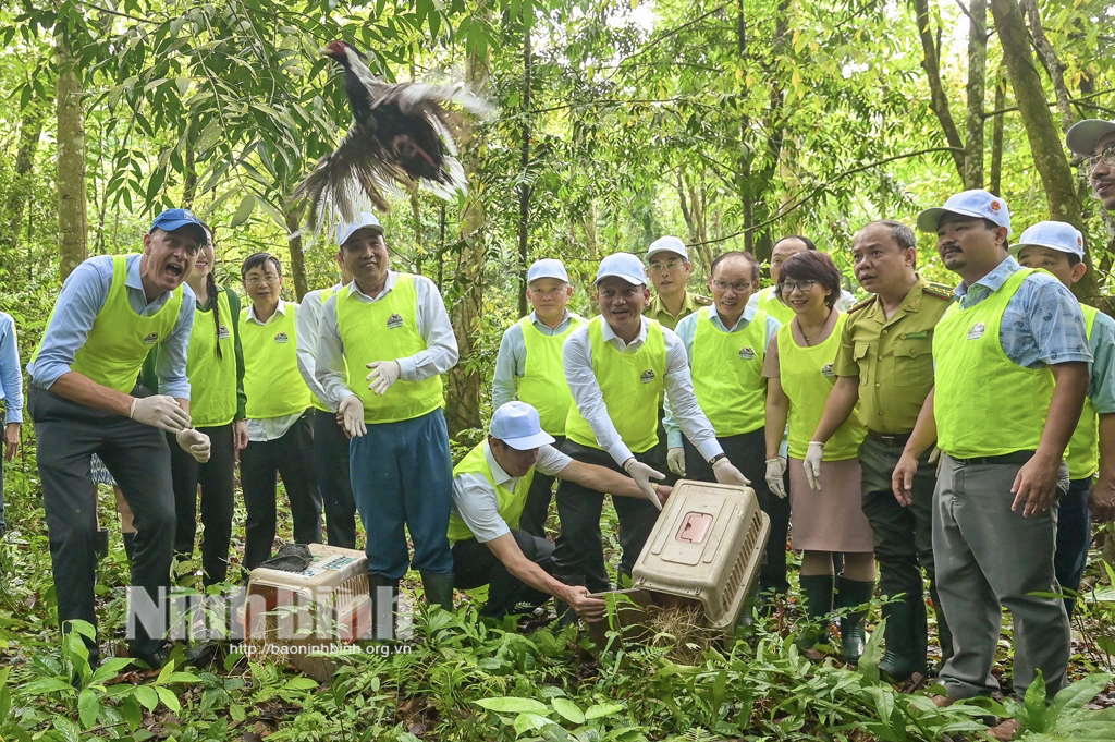 Các đại biểu tham gia hoạt động thả động vật về tự nhiên tại Vườn Quốc gia Cúc Phương.