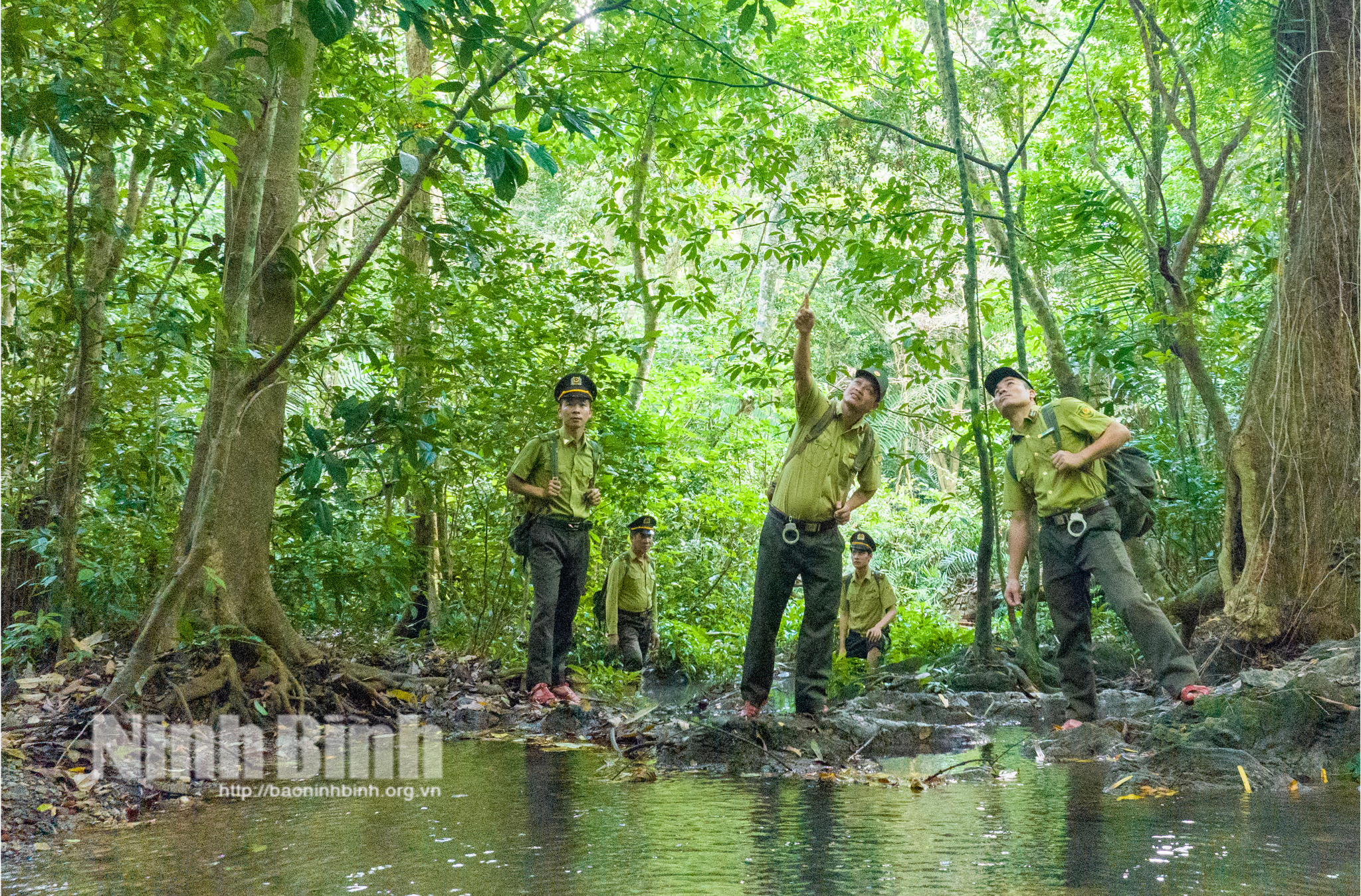 Vườn Quốc gia Cúc Phương đã và đang tập trung cao nhất cho việc bảo đảm an ninh rừng.