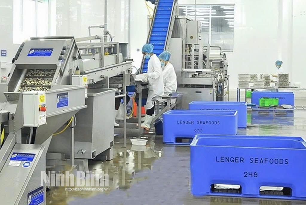 Dây chuyền chế biến ngao sạch tại Công ty TNHH Thủy sản Lenger Việt Nam. Ảnh: Thanh Thúy