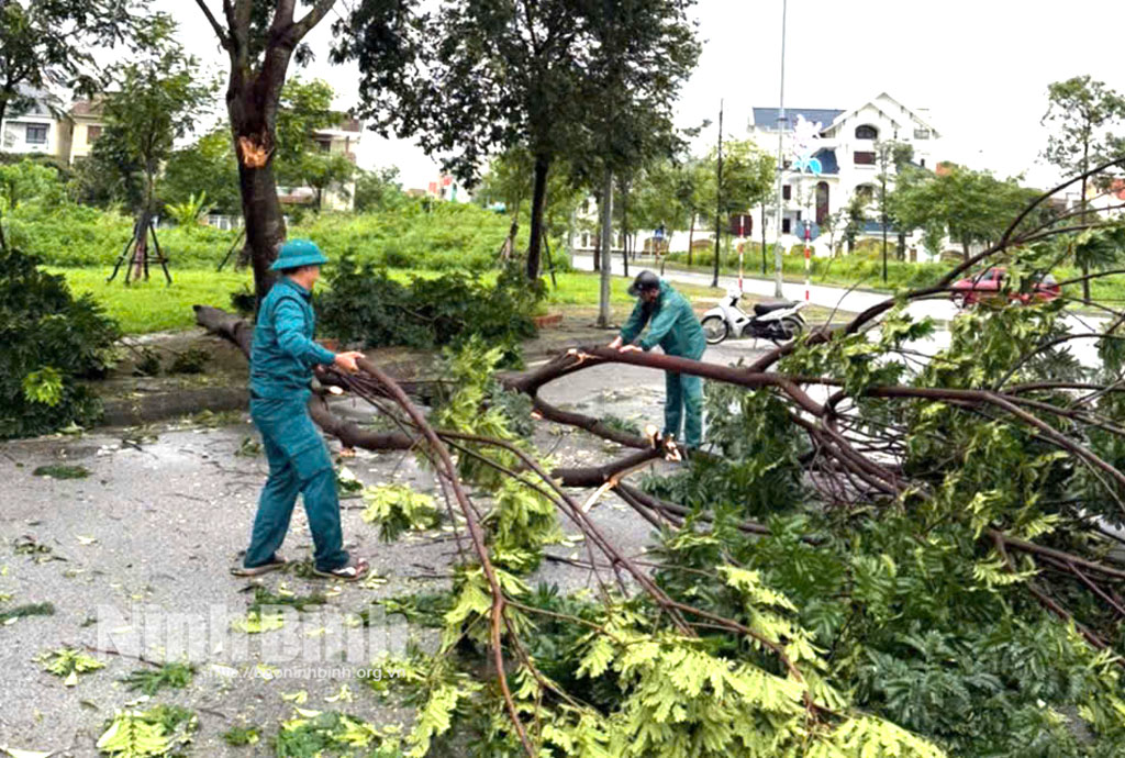 Lực lượng xung kích phường Thiên Trường xử lý cây đổ trên các tuyến đường.