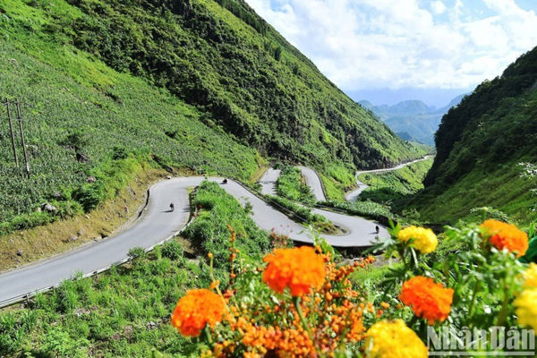 Vietnamese tourism trends for the 2025 Lunar New Year holiday