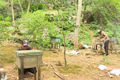 Model of bee-keeping in the forest.