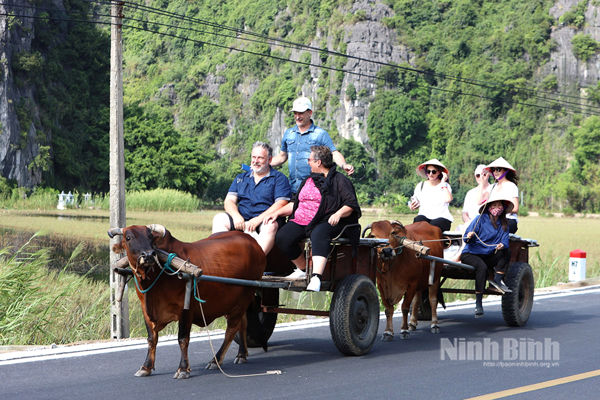 Ninh Binh tour named among world’s top 10 experiences in 2025: TripAdvisor