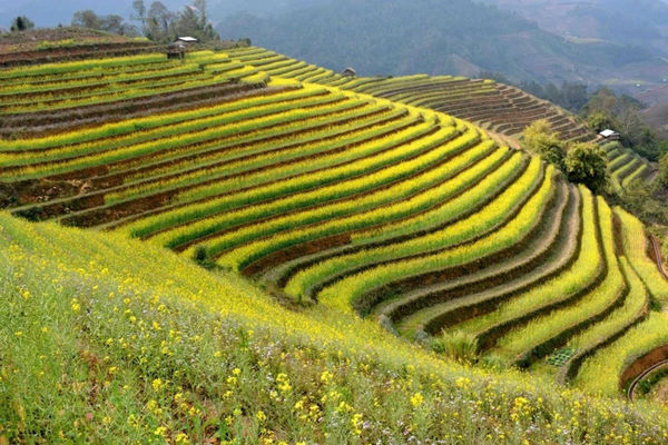 "Vietnam - Travel to Love" tourism stimulus programme launched