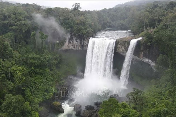 Vietnam works to connect local ASEAN Heritage Parks for better protection