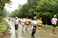 Runners at Cuc Phuong Jungle Paths 2024.