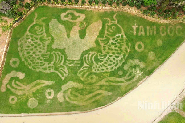 Unique artwork of "Fish jumping over dragon gate" on Tam Coc rice field