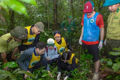 Visitors take part in the "Back home" tour at Cuc Phuong National Park.