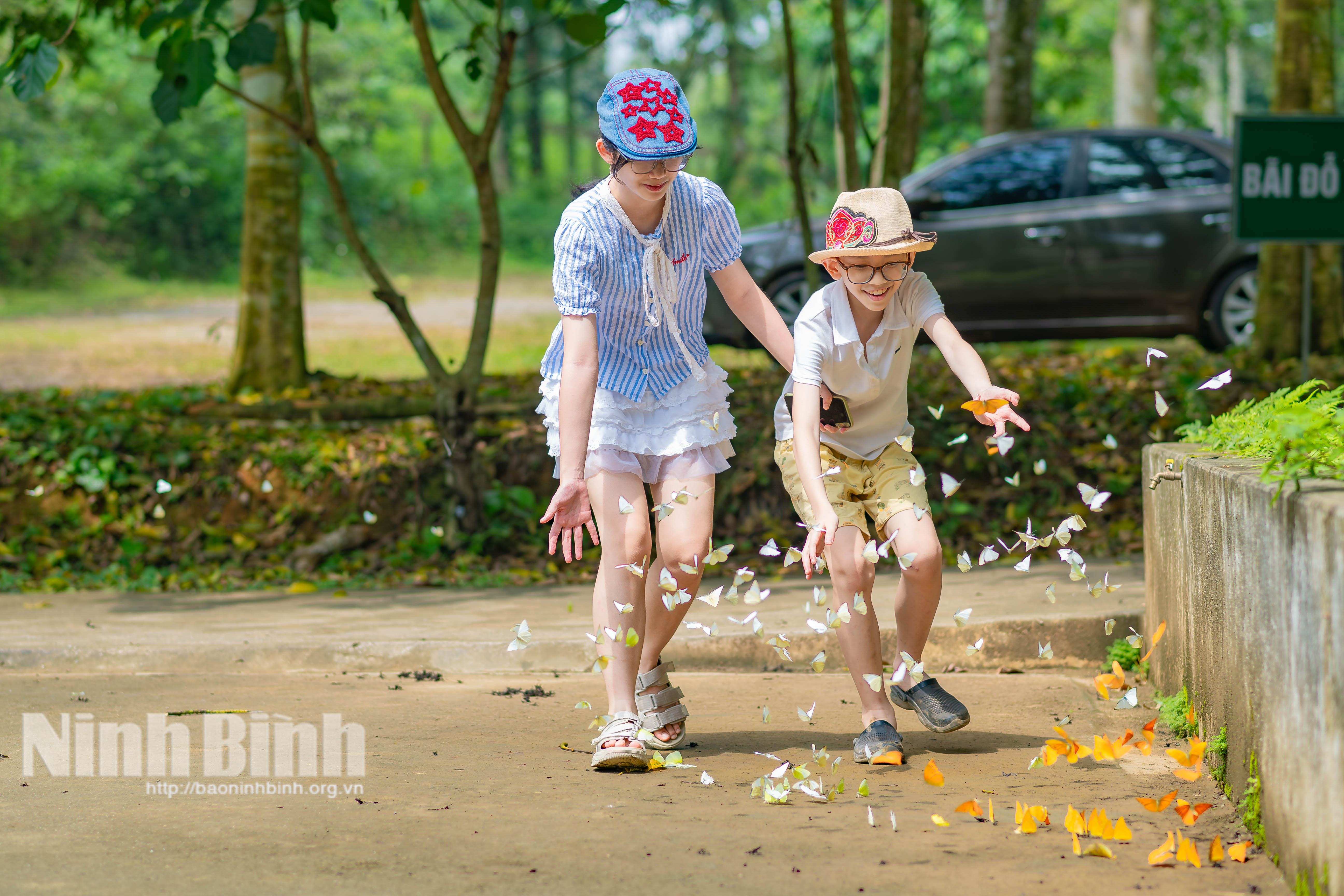 Chidlren play with butterflies in Cuc Phuong national park.