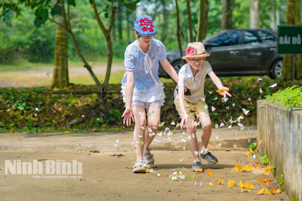 Experiencing a “chill” day in Cuc Phuong National Park during butterfly season