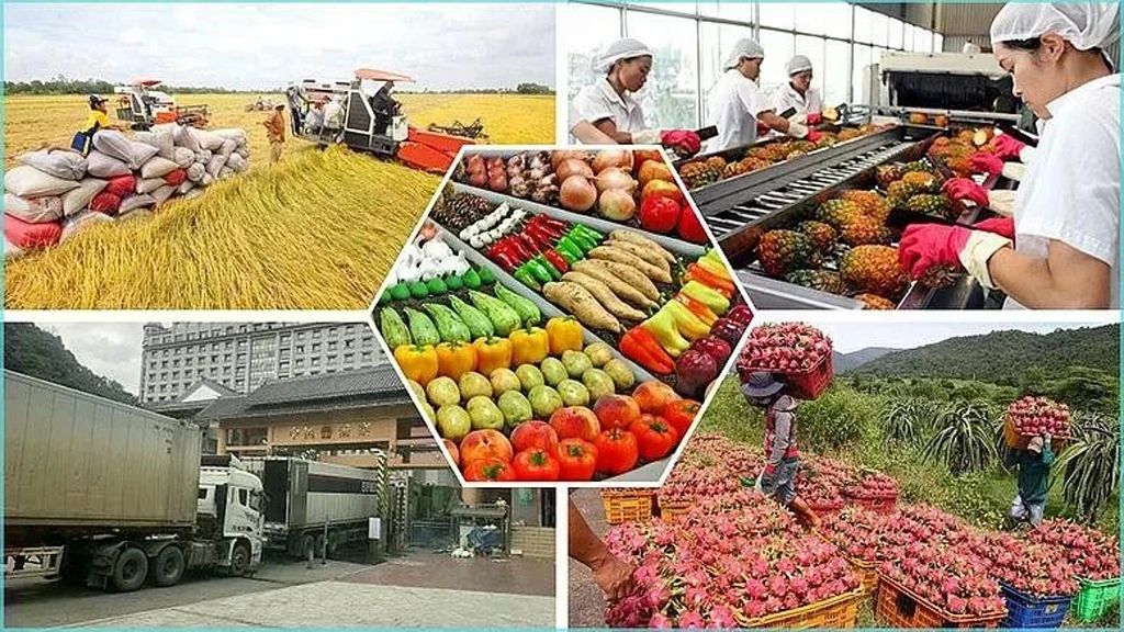 Vietnam gains 28.04 billion USD from exporting agro-forestry-fishery products in the first five months of the year. (Photo: congthuong.vn)
