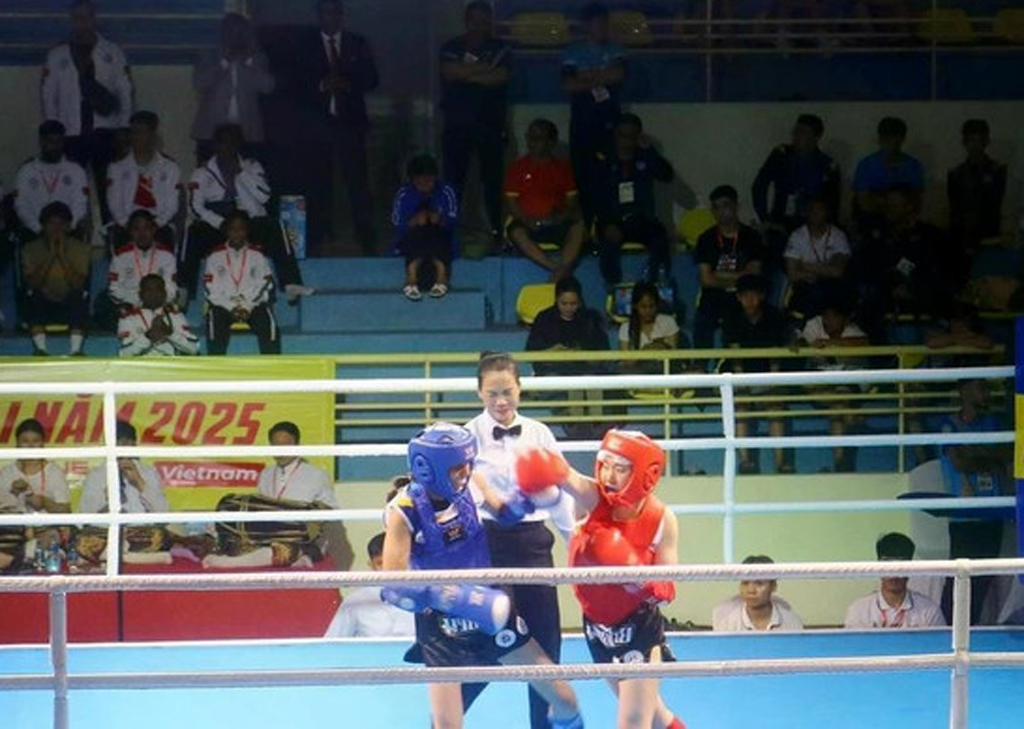 Athletes compete in 28 combat weight categories and eight performance categories (Photo: VNA)
