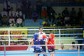Athletes compete in 28 combat weight categories and eight performance categories (Photo: VNA)
