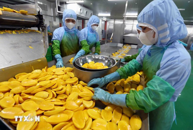 economic-growth-2.jpg