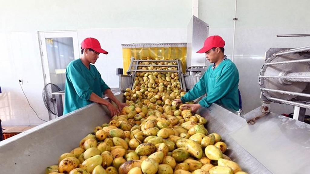 he mango production line of Southern Nafoods Joint Stock Company .