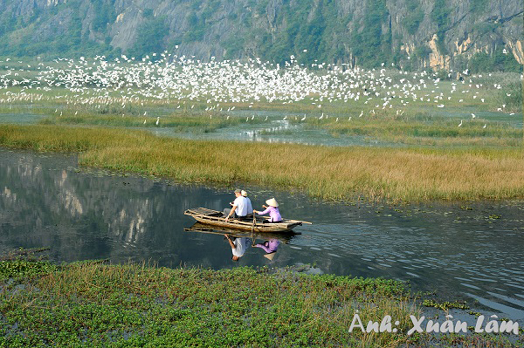 Van Long natural reserve.