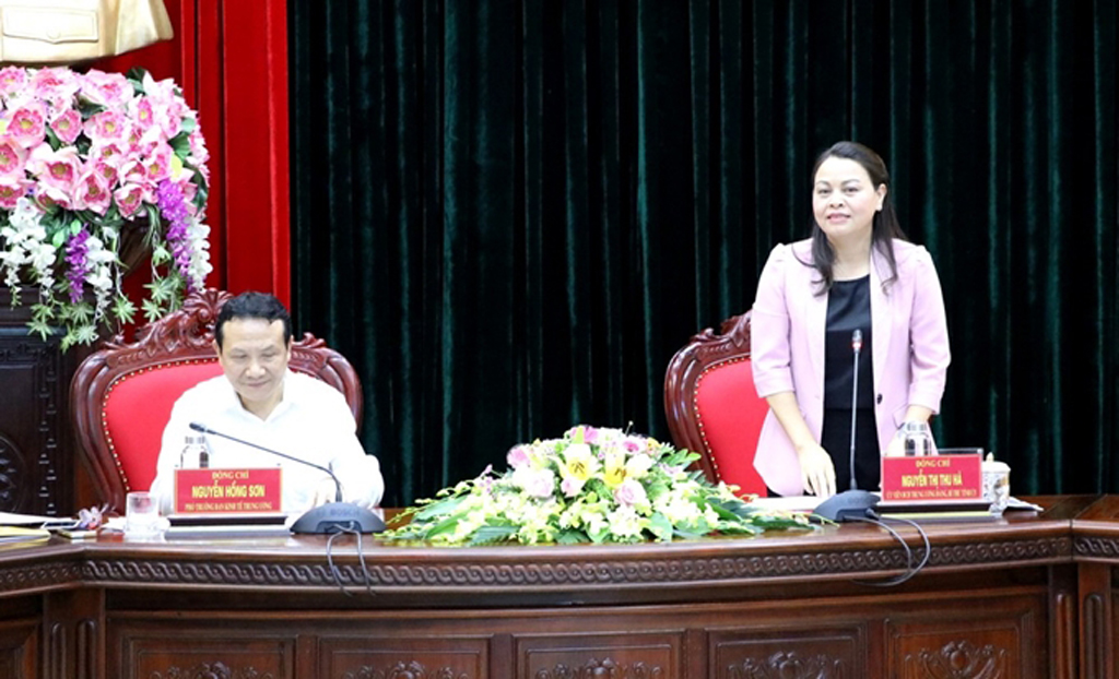 Ms. Nguyen Thi Thu Ha speaking at the working session..