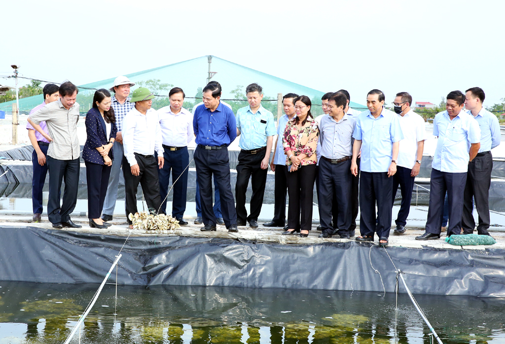 The delegation pays fact-finding trip to an aquaculture breeding farm in Kim Son district.