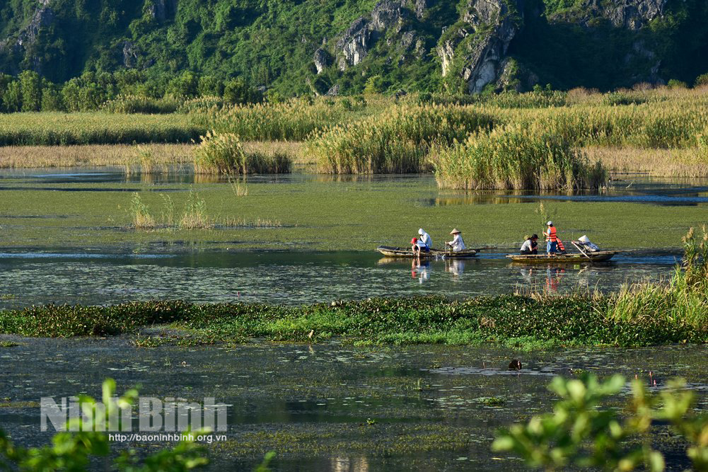 Discover beaufiful Ninh Binh in spring season