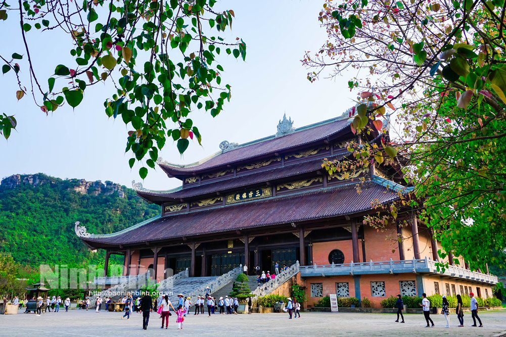 Discover beaufiful Ninh Binh in spring season