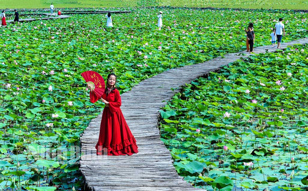 Ninh Binh works to develop typical agritourism