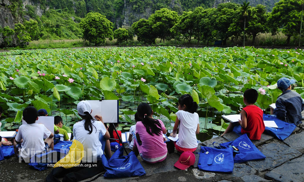 Stunning lotus season in Hoa Lu ancient capital