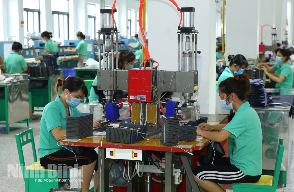 Production line of VIENERGY company.