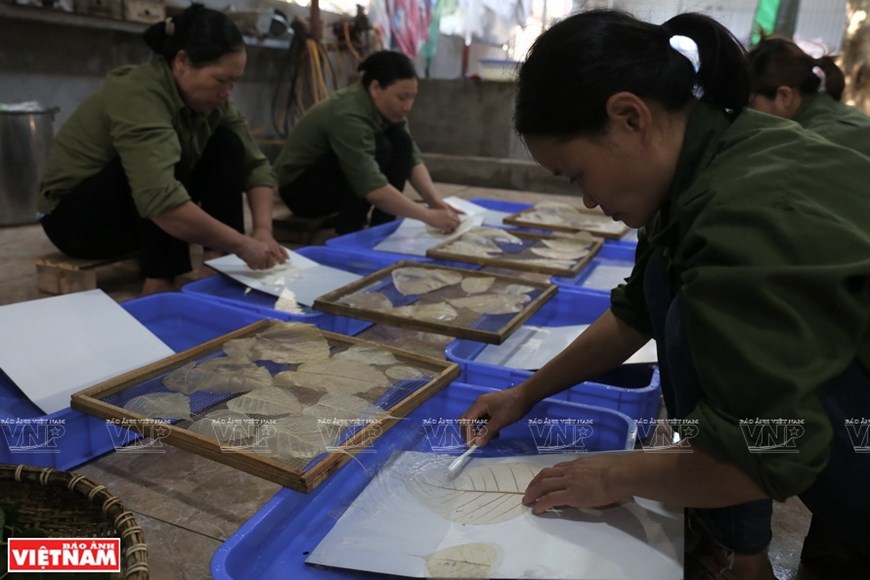 Bodhi leaf paintings