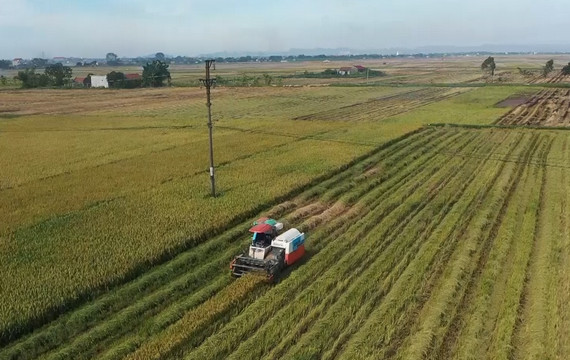 Mechanisation of agriculture in Ninh Binh reaps fruitful outcomes