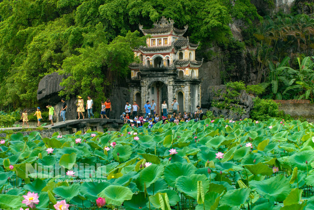 Unique pagodas hidden in caves