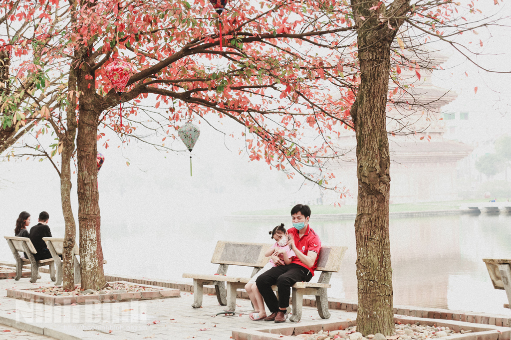 Beautiful Ninh Binh in seasonal change time