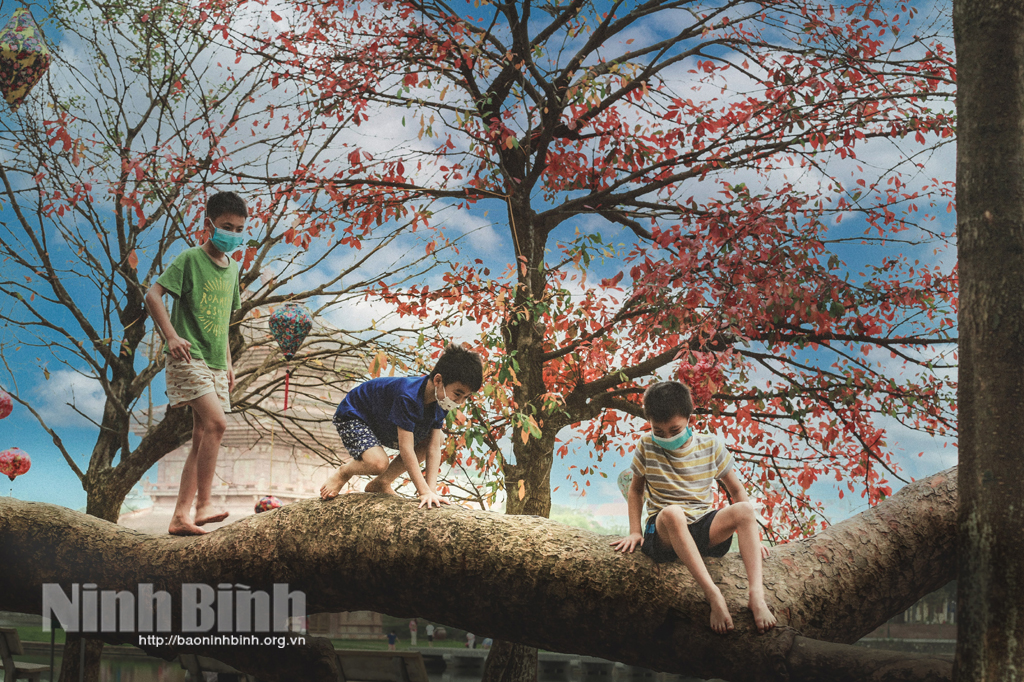 The blue sky of Ninh Binh decorated with red color of changing leaf.
