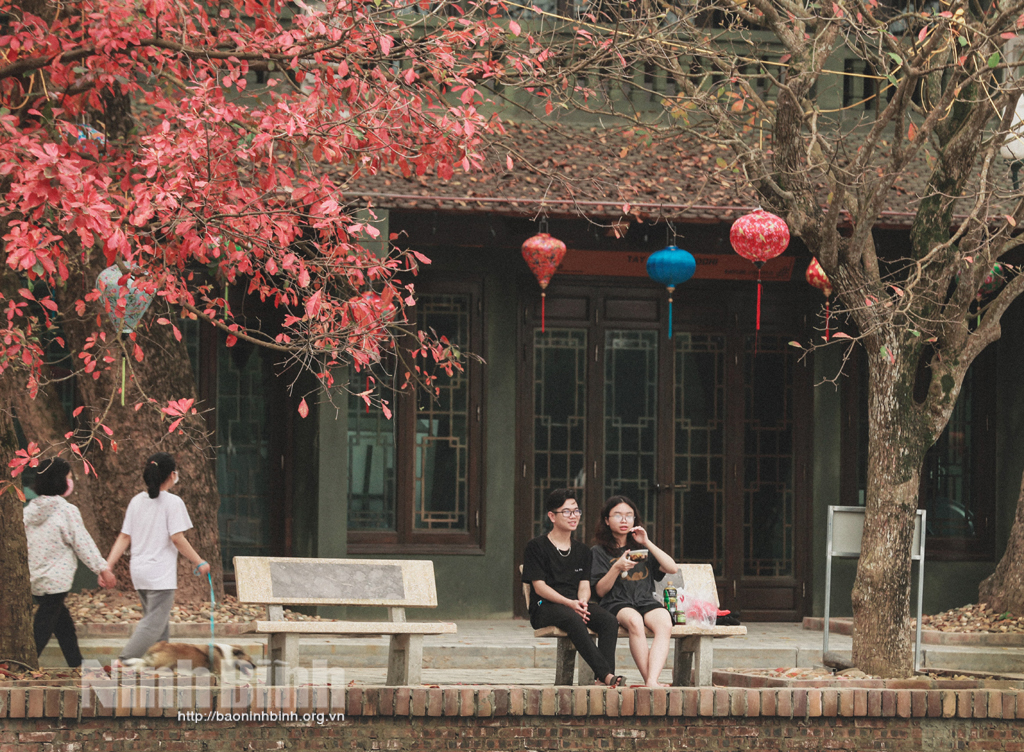 Beautiful Ninh Binh in seasonal change time