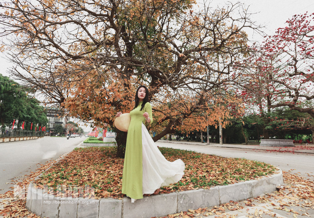 Beautiful Ninh Binh in seasonal change time