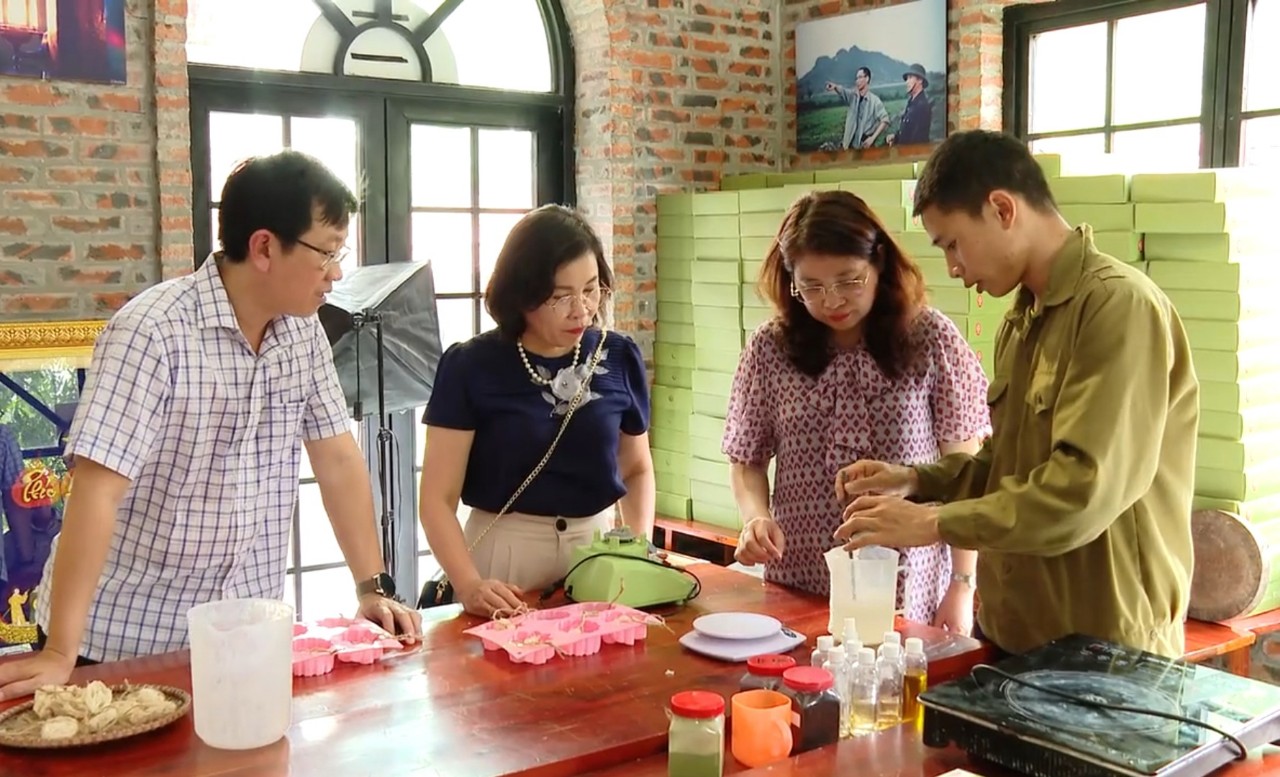 Local cooperatives assisted to develop tourism services