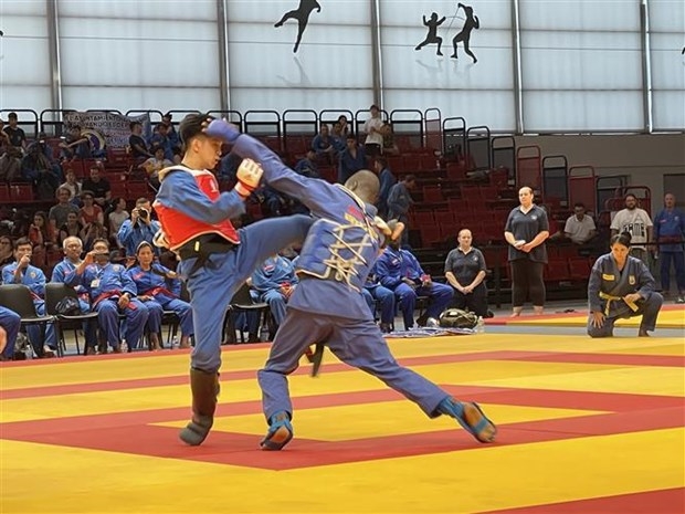 A competition of martial artists at the tournament's final round. (Photo: VNA)
