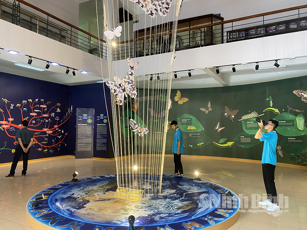 The butterfly tower inside Cuc Phuong Museum.