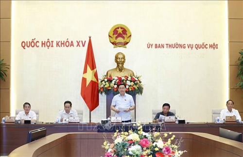 N.A. Chairman Vuong Dinh Hue speaks at the event.