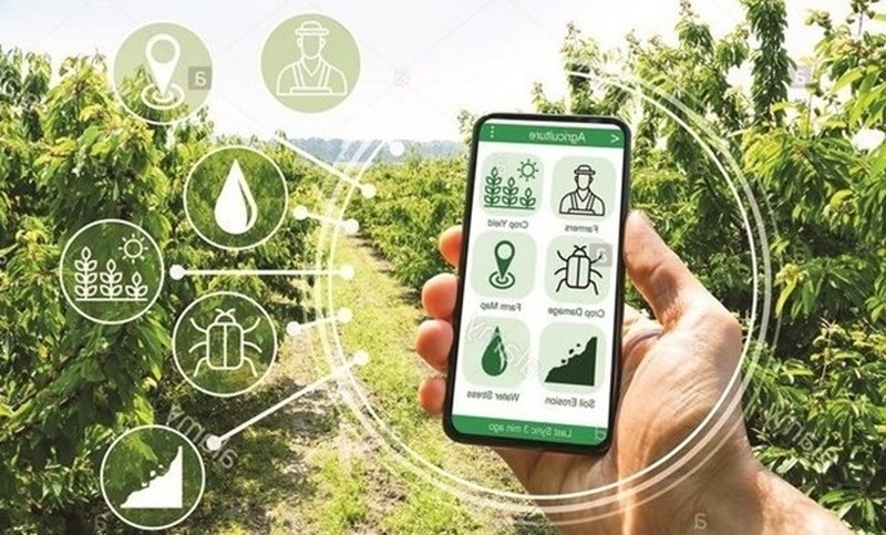 Digital transformation will be promoted in building new-style rural areas, towards smart rural development, for the 2021 - 2025 period (Photo: Ministry of Agriculture and Rural Development).