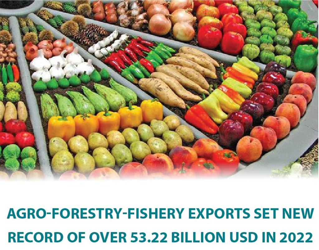 Agro-forestry-fishery exports set new record in 2022