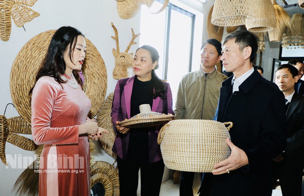 Ninh Binh leaders inspect production activities after Tet holiday