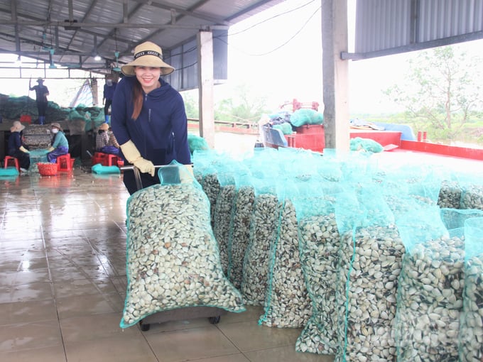 Ninh Binh strictly manages clam farming areas for export