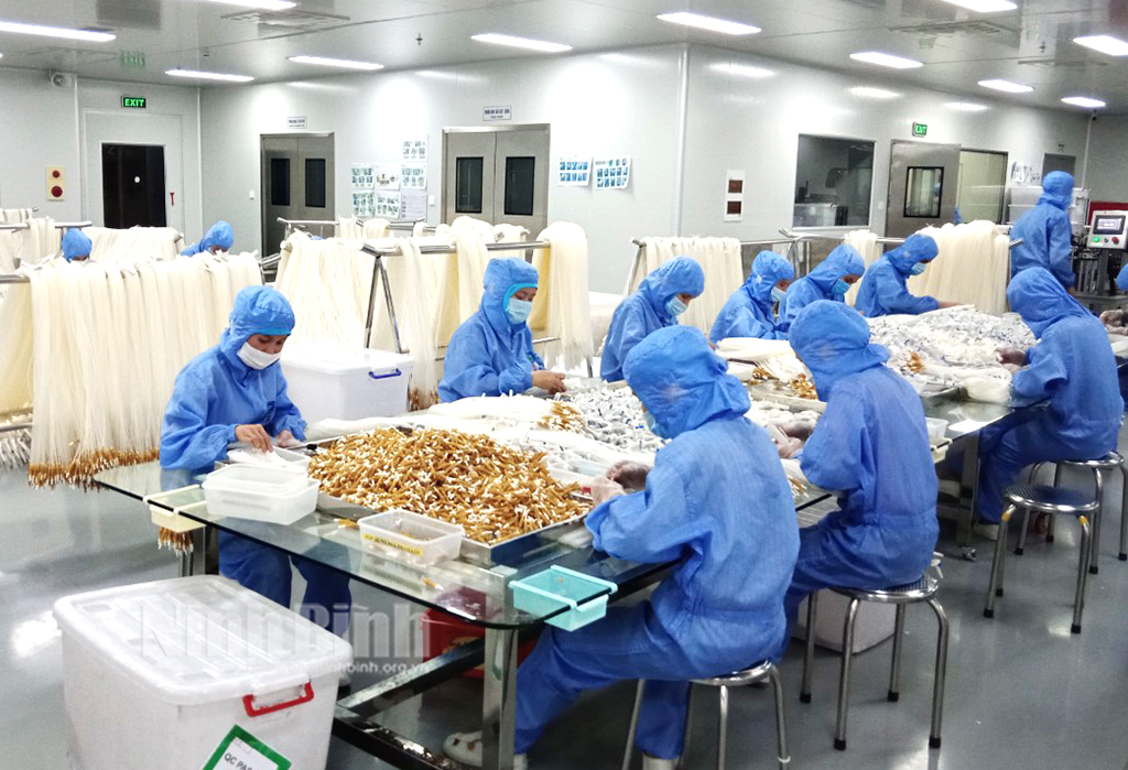 Manufacturing of medical plastics in JSC of Vietnam medical plastics in Tam Diep IZ.