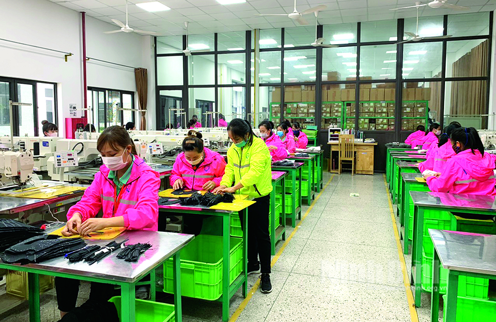 Production line of Vieniergy footwear limited company.