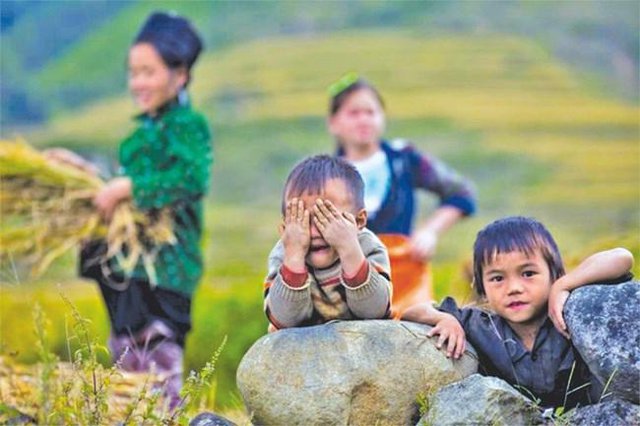 Over 1.9 million households are left with multi-dimensional poverty in Viet Nam - Illustration photo