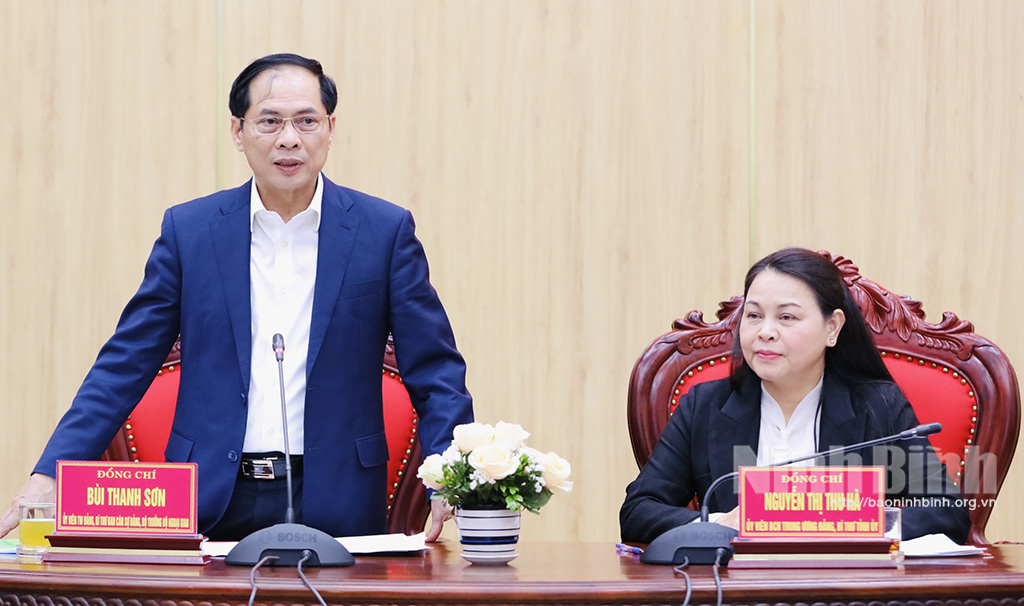 Delegation of Ministry of Foreign Affairs works with Ninh Binhs leaders